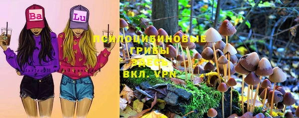 винт Бронницы